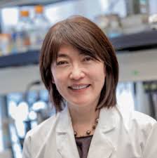 Dr. Jiyoung Lee